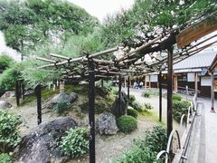 -中村藤吉(本店)