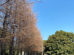 -石湖景区