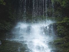 -青城山