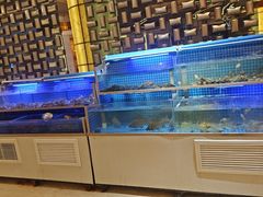 -鲁商铂尔曼大酒店·铂丽自助餐厅