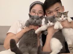 -灵美宠物诊所