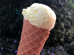 榴莲单球蛋筒雪糕-成裕雪糕店(士多店)
