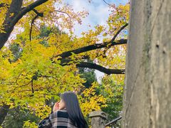 -溪口-滕头旅游景区