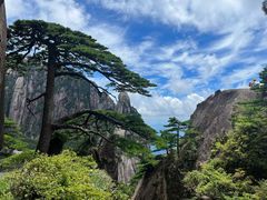 -黄山风景区