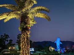 -珠海长隆海洋王国