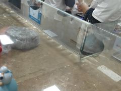 -杨招娣糕点(装驾桥巷店)