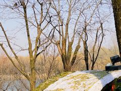 -Supine Bistro溯泮餐厅