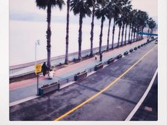 -东钱湖旅游度假区