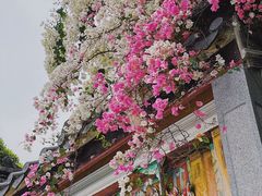 -深圳国际园林花卉博览园