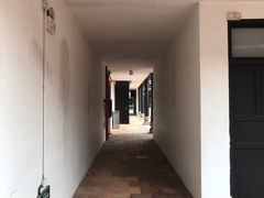-长洲岛