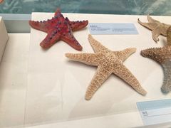 -上海中国航海博物馆