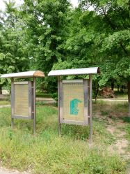 -大望京儿童游乐场