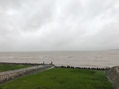 -南汇嘴观海公园