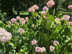 -国家植物园南园