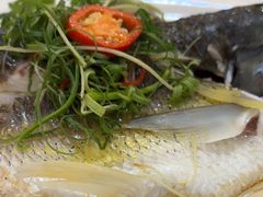 -有腥气私房菜·寻味顺德