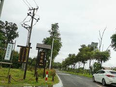 -大塘金香草谷