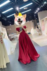 -Lady  Jane高端婚纱礼服馆