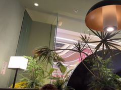 -芸山季·云南山珍菌火锅(南翔印象城MEGA店)