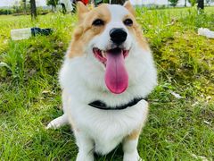 -梁子湖东篱老屋生态庄园