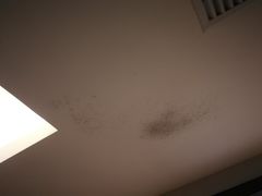 -上海豪德万源酒店(陆家嘴东方明珠店)