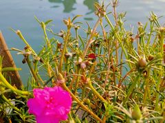 -时间仓(月湖公园店)