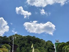 -栾川竹海野生动物园