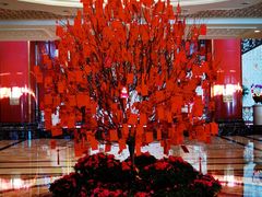 -北京中国大饭店