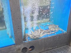 -鲜味食族水产·海鲜餐厅