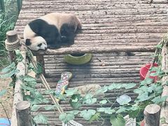 -大连森林动物园