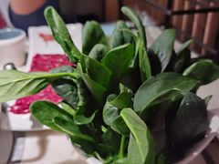 -左庭右院鲜牛肉火锅(浦江欢乐颂店)
