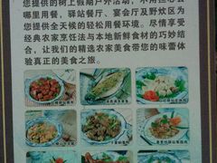 10驿站餐厅主打菜色-天门沟九州驿站树上汤泉