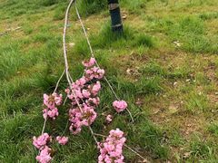 -汉长安城未央宫国家考古遗址公园