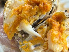 -品鲜村农家菜·阳澄湖大闸蟹(总店)
