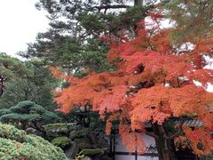 -京都御所