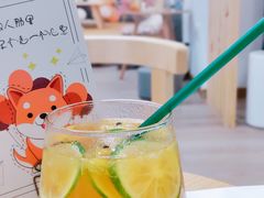 -柴迷FANS CLUB·柴犬狗咖·猫咖