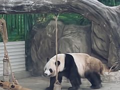 -灵玲国际马戏城