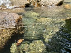 -西岭雪山大飞水景区