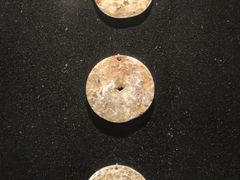 -良渚博物院