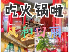 -禧鳳記·猪肚鸡火锅(玖洲道店)