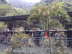 -溪口-滕头旅游景区