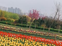 -咸阳湖景区-统一广场