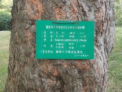 -习家池