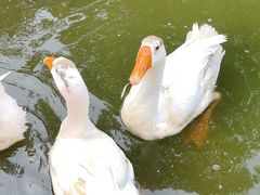 -南翠屏公园