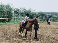 -月河湾马术俱乐部(朝阳店)