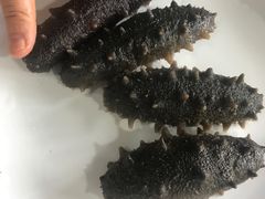 -鱼市酒店(威海水产批发市场店)