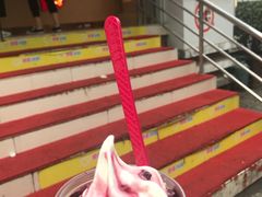 -蜜雪冰城(托乐嘉店)