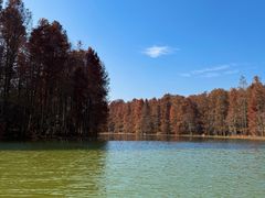 -上海海湾国家森林公园