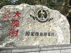 -大槐树寻根祭祖园