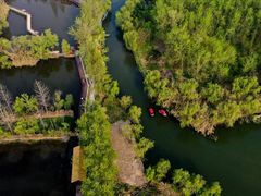 -溱湖国家湿地公园