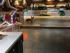 -771餐吧·咖啡·西餐·烤肉(金湖广场店)